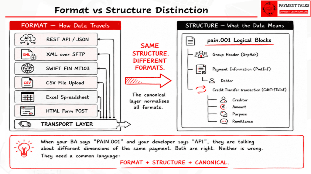Format vs structure distinction showing multiple delivery formats (JSON, XML, CSV, Excel, MT103, HTML form) all normalising to a single pain.001 logical structure in the canonical layer